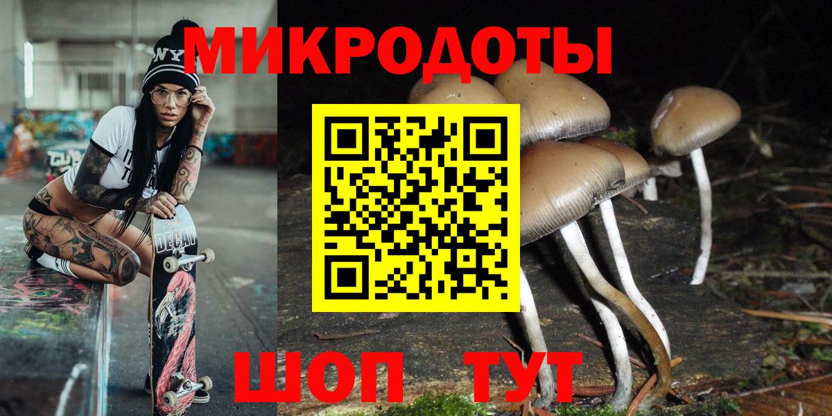 Троицк  Псилоцибиновые грибы Psilocybine cubensis  Вход с VPN 
