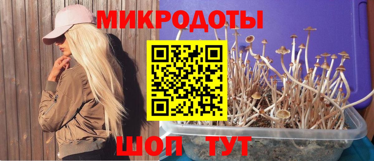 Псилоцибиновые грибы GOLDEN TEACHER Троицк